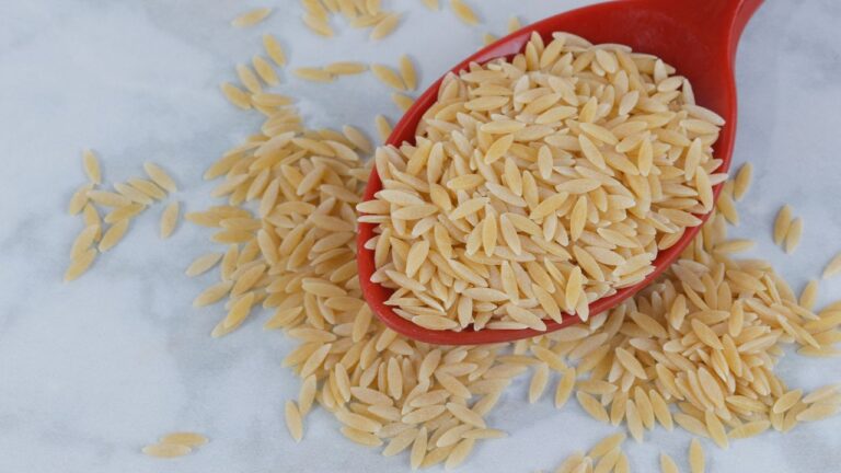 Nieugotowany makaron orzo na drewnianej łyżce. Jak gotować makaron orzo?