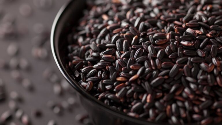 Czarny ryż - surowe ziarna czarnego ryżu w miseczce