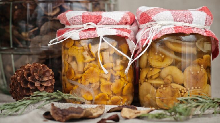 Marynowane grzybki w słoikach