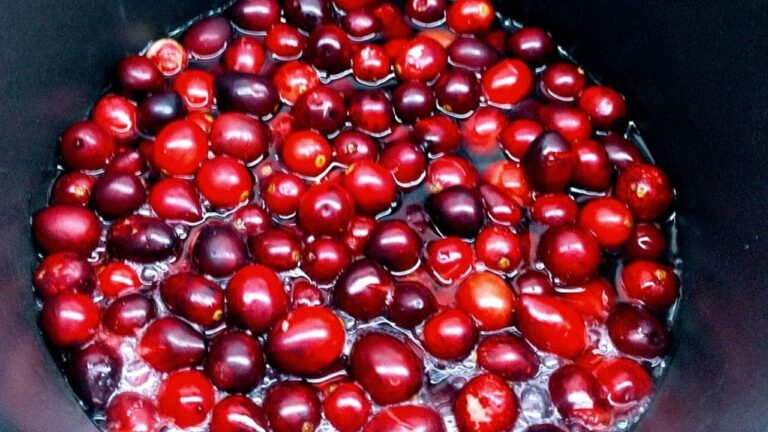 Świeże owoce żurawiny gotują się na kisiel w czarnym garnku