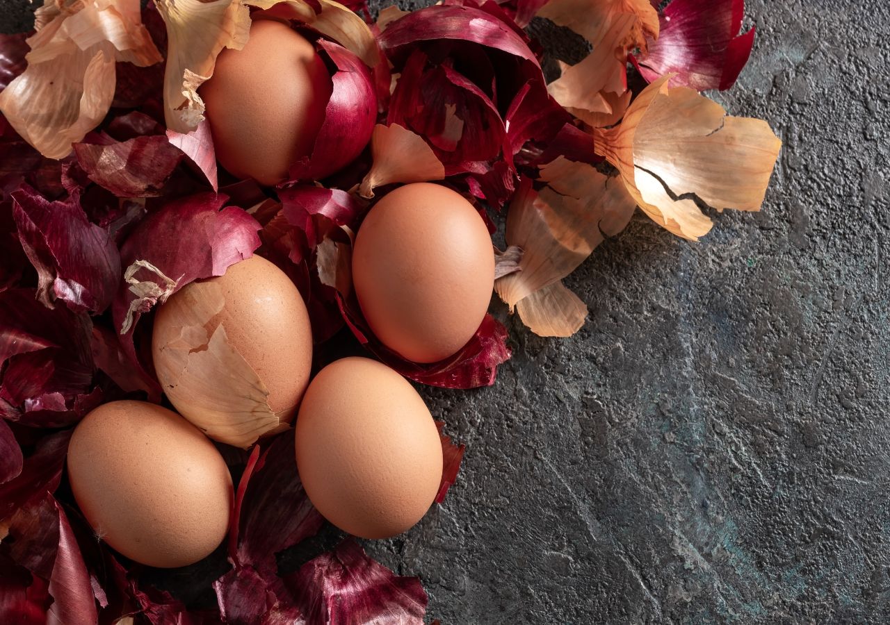 Do przygotowania wywaru możemy użyć łupin cebuli żółtej lub czerwonej