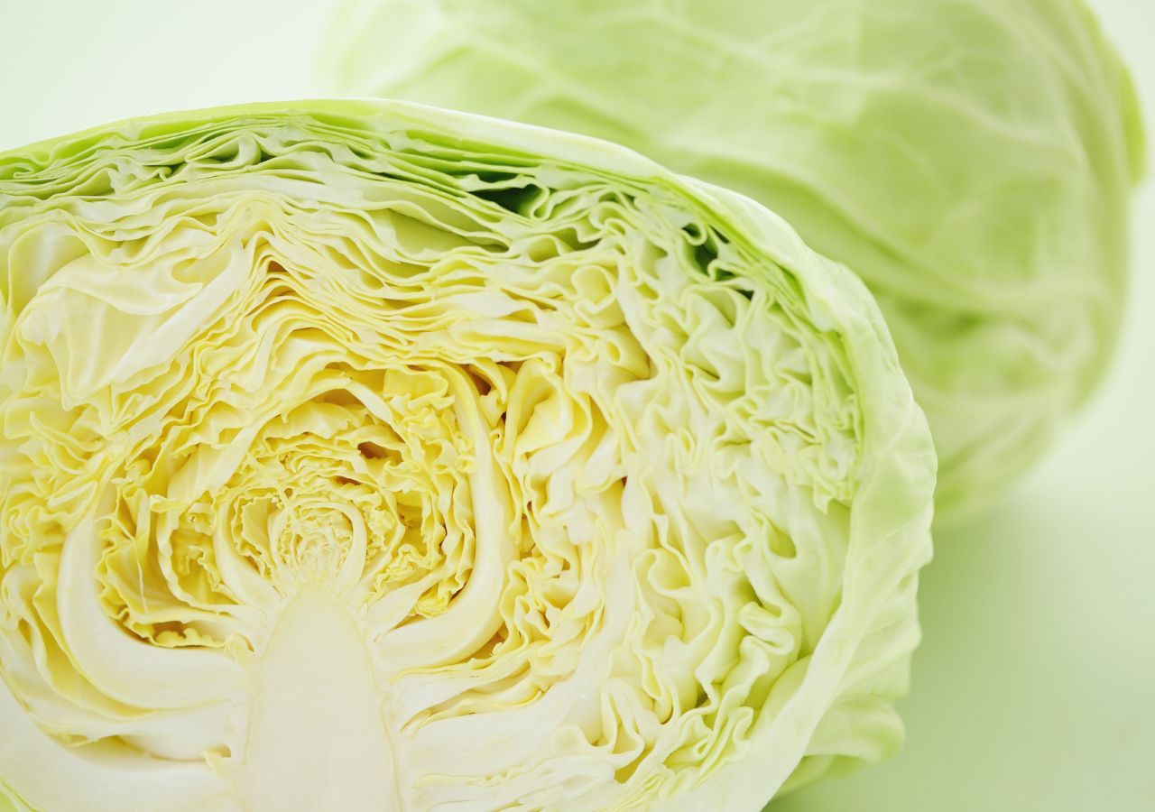 Biała kapusta najczęściej gości na naszych stołach