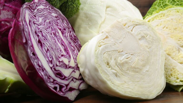 Kapusta białą, czerwona i włoska. Czas gotowania kapusty zależy od rodzaju, grubości liści i przeznaczenia. Im twardsza kapusta, tym dłużej powinna gotować się w garnku