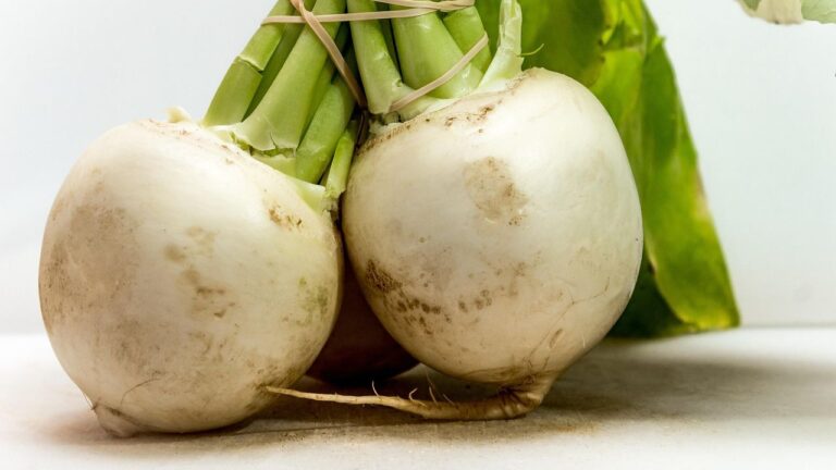 Rzepa. Zapomniane warzywo, które wraca do łask