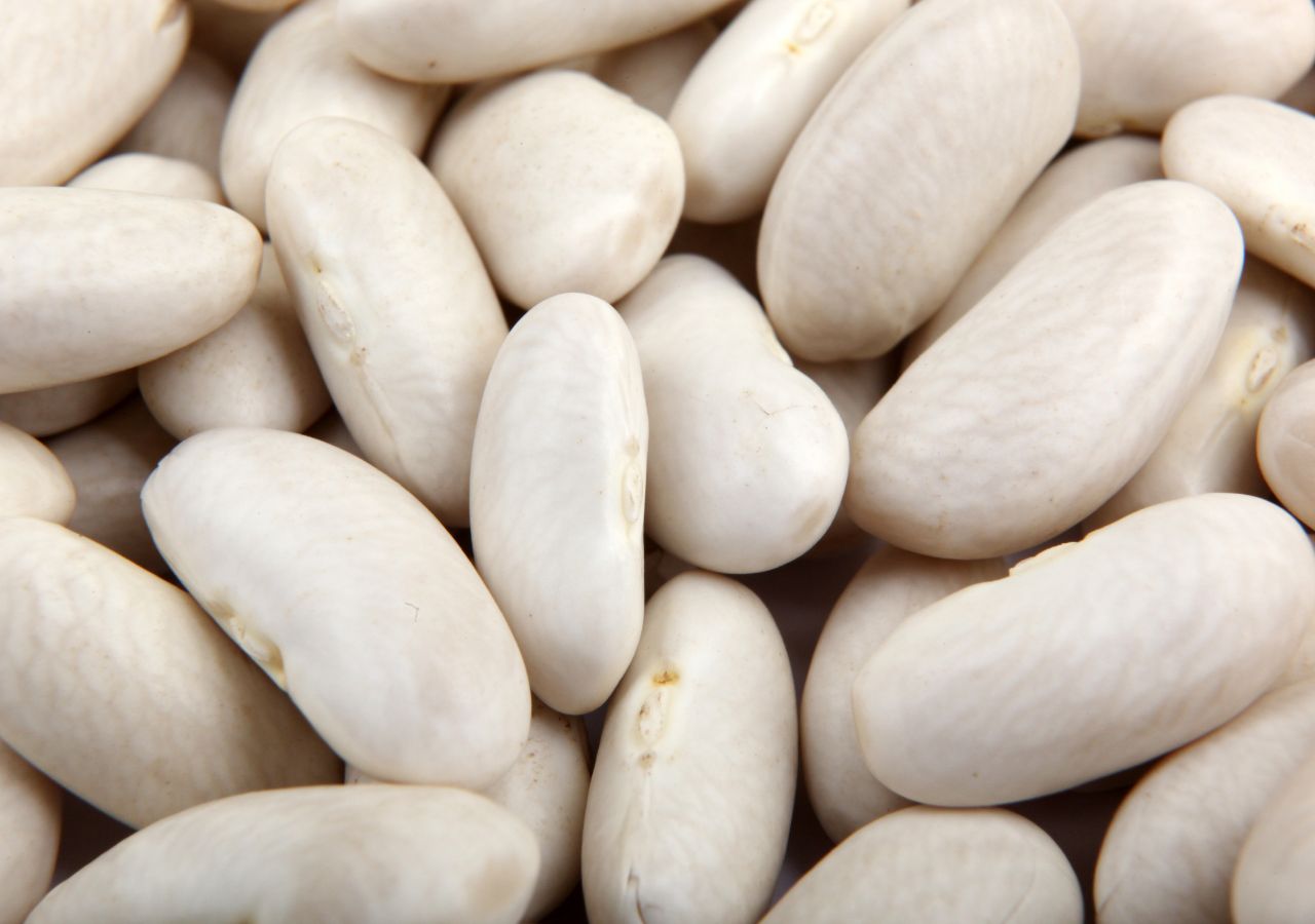 Świeże fasole jaś po wyłuskaniu