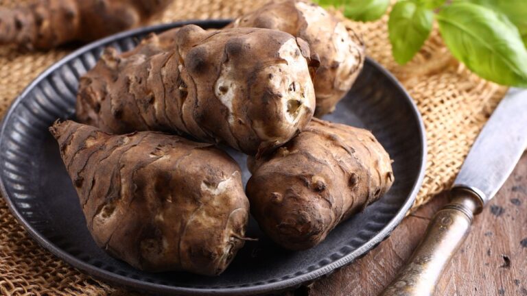 Świeże bulwy topinamburu na talerzyku