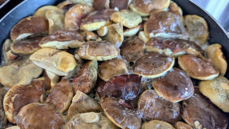 Gotowanie grzybów przed marynowaniem