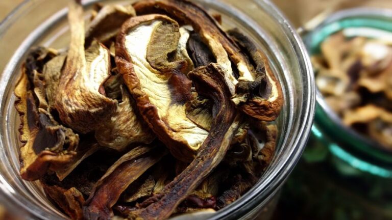 Suszone grzyby w szklanym słoiku